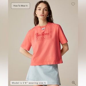 J Crew women’s size large pink coral t-shirt NWT